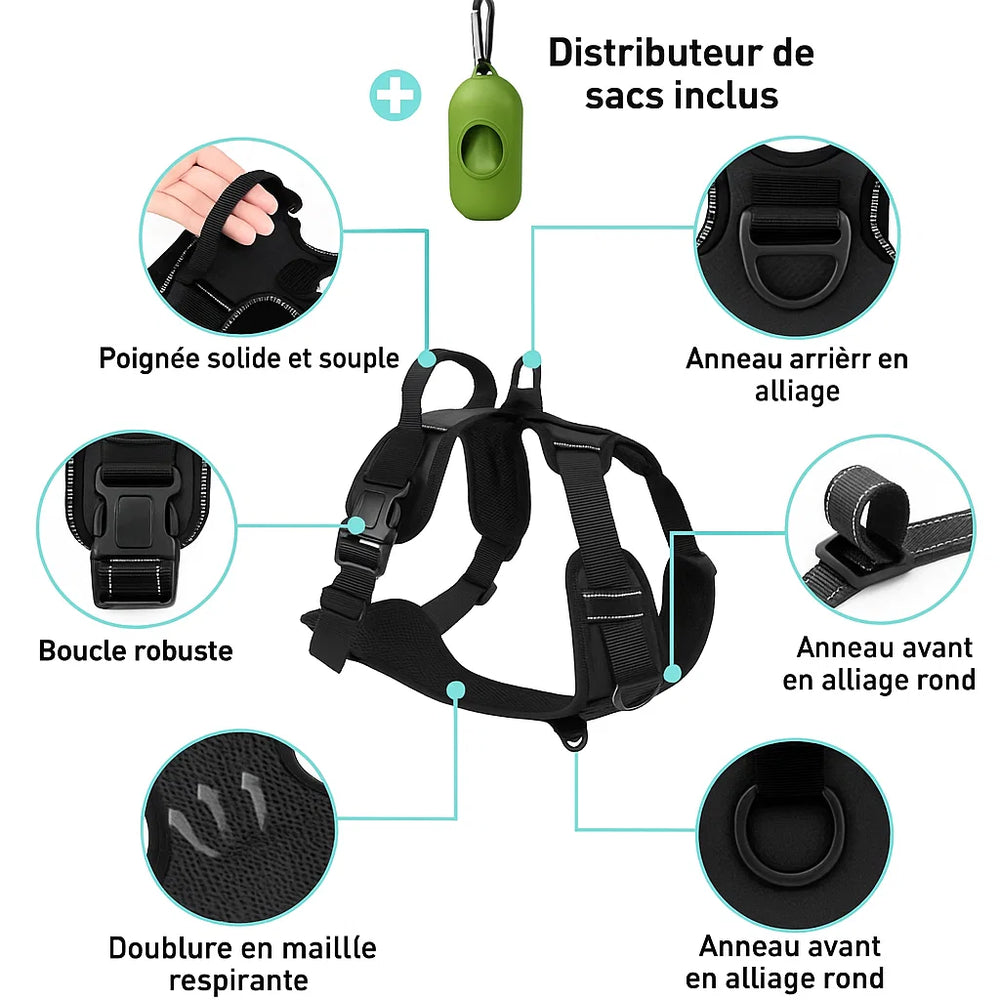 harnais anti-traction Pavllove avec sangle rembourrée