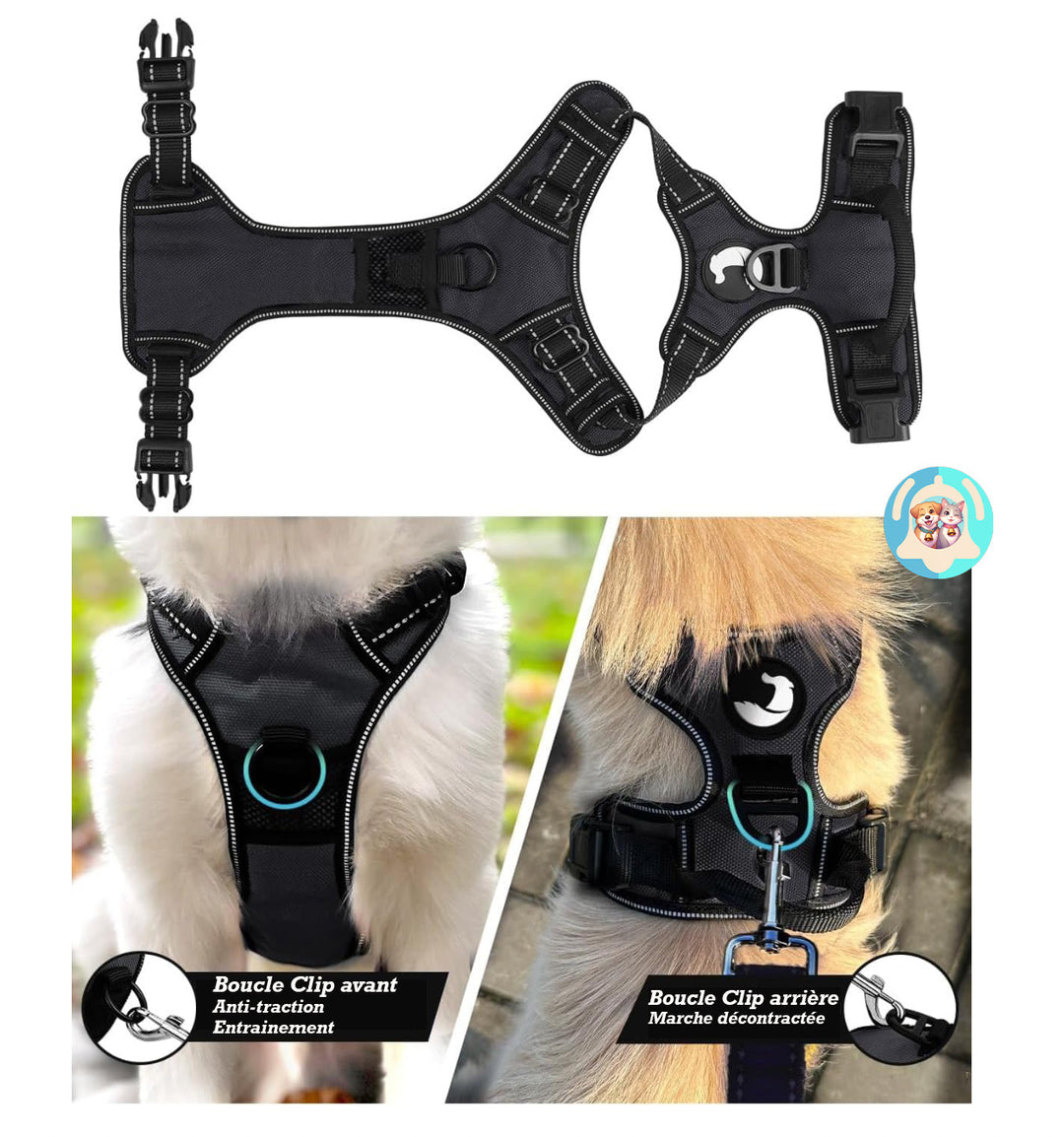 harnais Pavllove pour chien avec poignée de contrôle