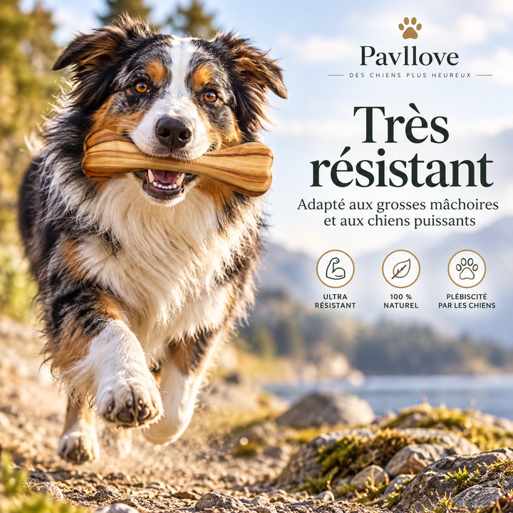 Os en bois d’olivier 18 cm pour chien Pavllove fabriqué artisanalement à Grenoble