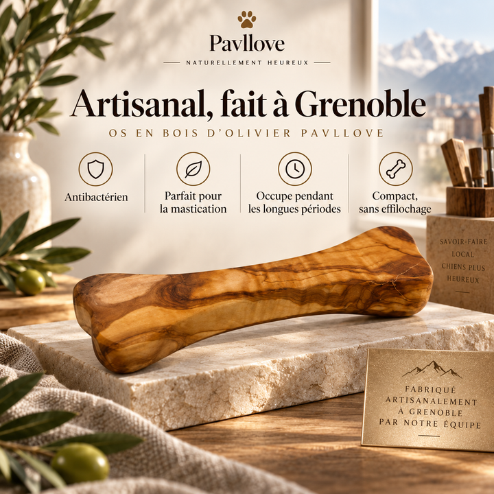 Jouet de mastication naturel en bois d’olivier pour chien