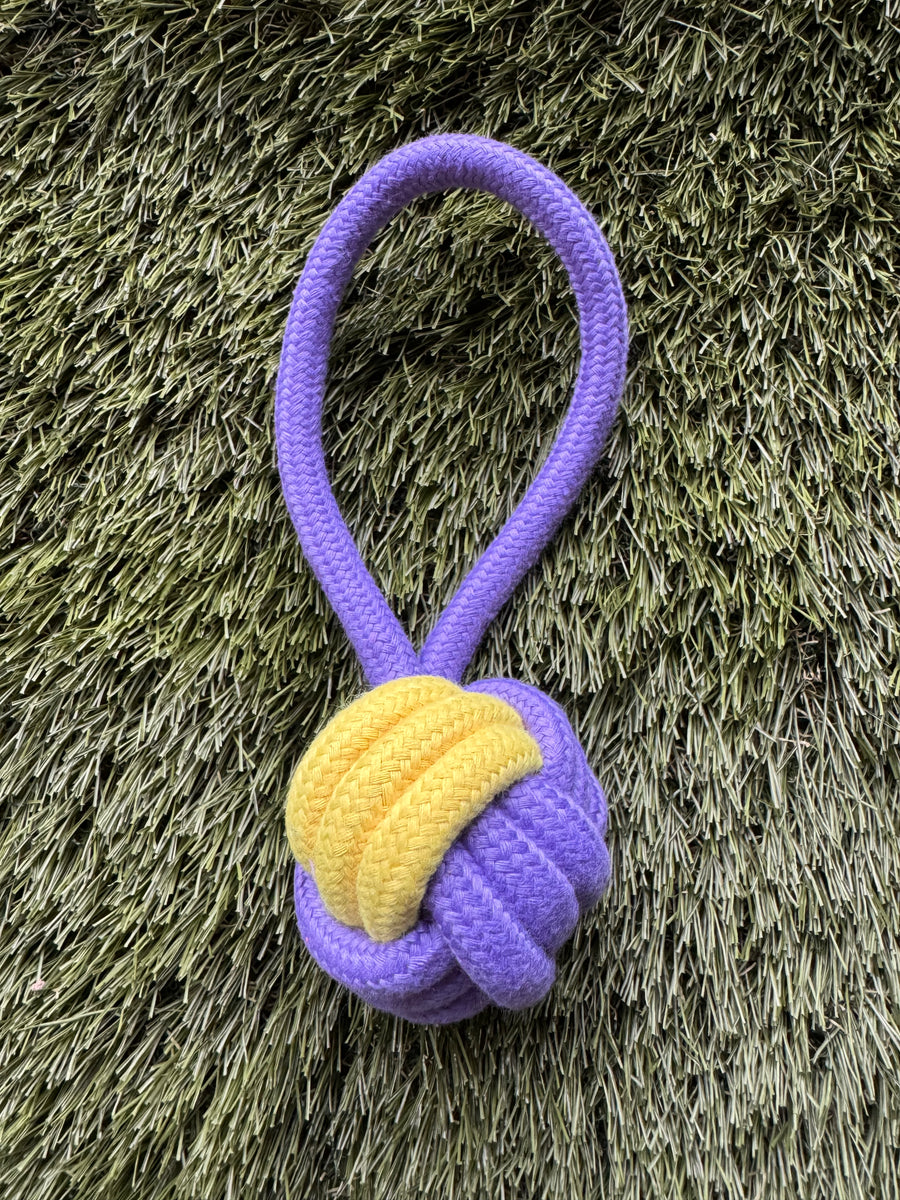 jouet d’entraînement Pavllove corde et balle