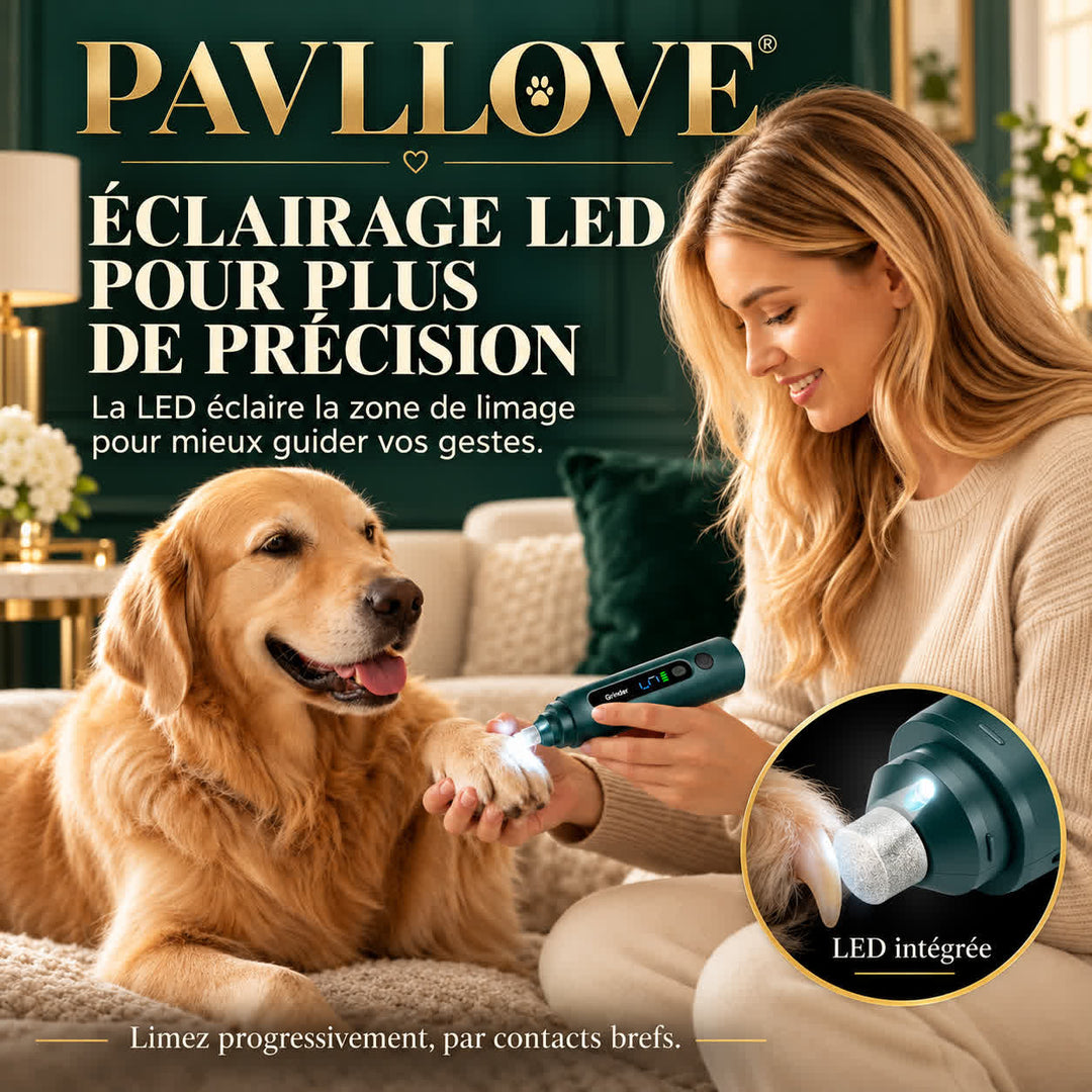 Éclairage LED de la lime à griffes PAVLLOVE illuminant la zone de limage sur la patte d’un chien.