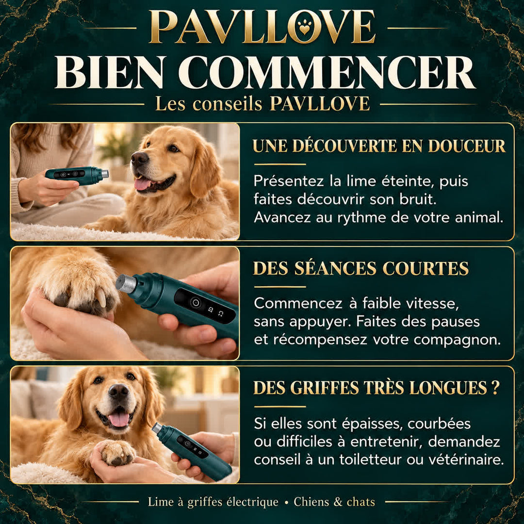 Conseils PAVLLOVE pour habituer progressivement son animal à la lime électrique et entretenir ses griffes.