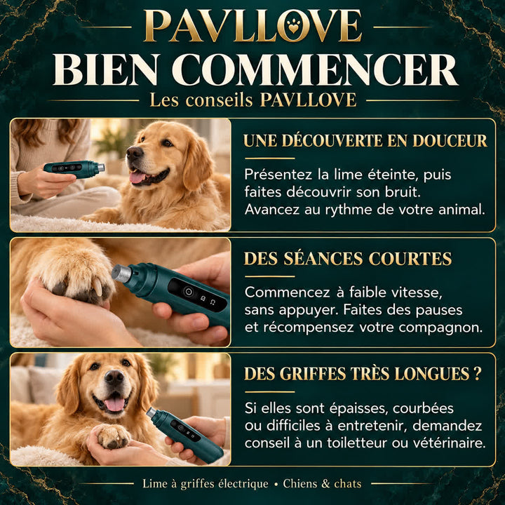 Conseils PAVLLOVE pour habituer progressivement son animal à la lime électrique et entretenir ses griffes.
