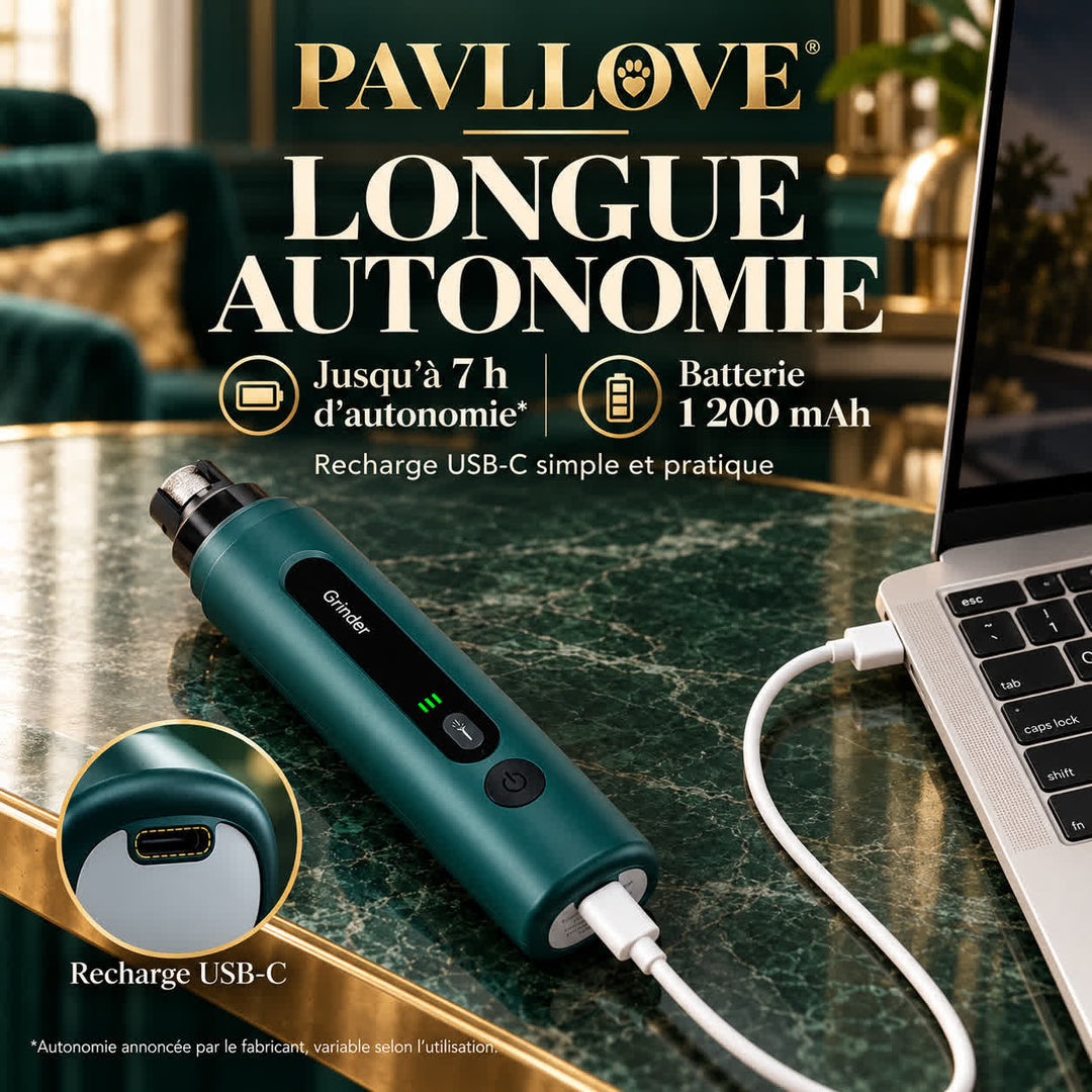 Lime à griffes PAVLLOVE en recharge USB-C, avec batterie de 1 200 mAh et autonomie annoncée jusqu’à sept heures.