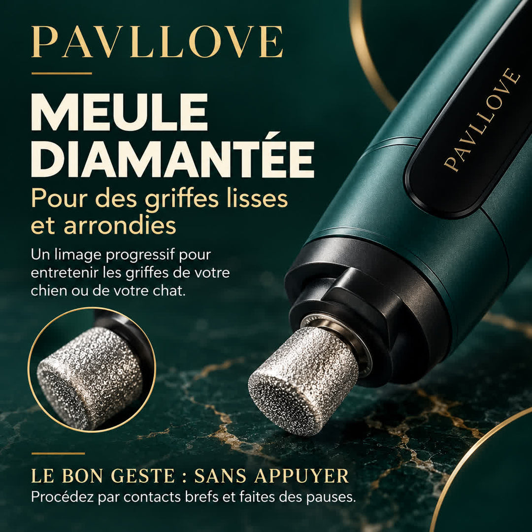 Gros plan sur la meule diamantée de la lime à griffes PAVLLOVE pour lisser et arrondir les griffes.