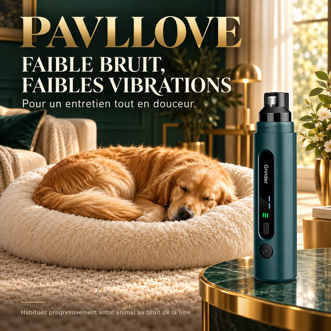Lime à griffes PAVLLOVE à faible bruit et faibles vibrations, présentée près d’un golden retriever au repos.