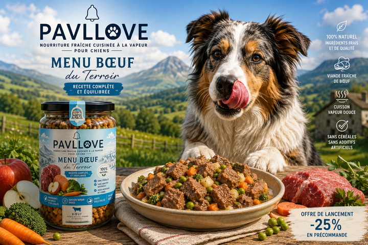 aliment-frais-pour-chien