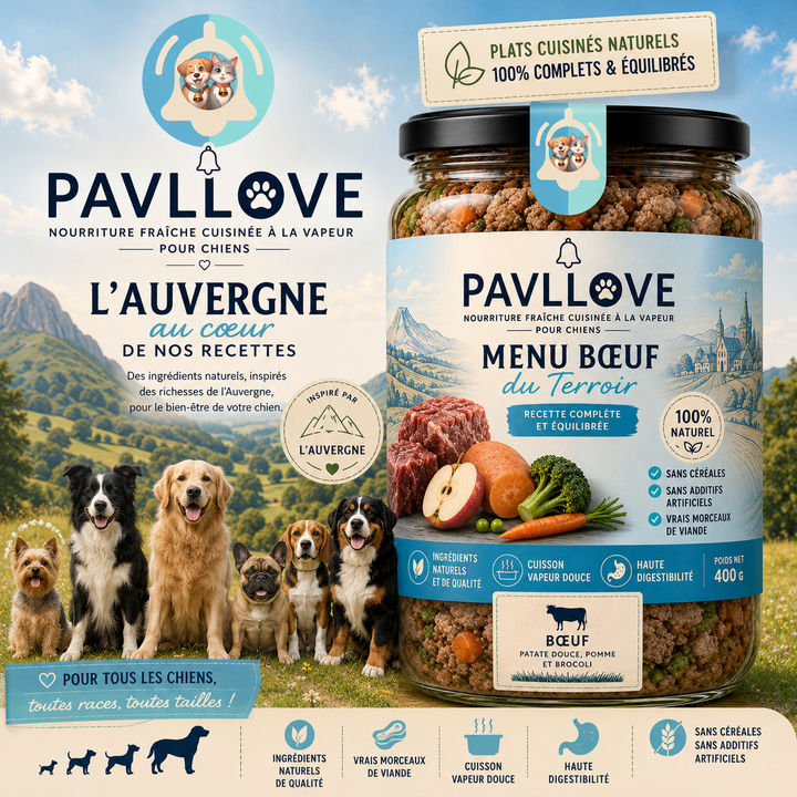 Menu Bœuf du Terroir PAVLLOVE®, plat cuisiné naturel pour chien riche en protéines animales.