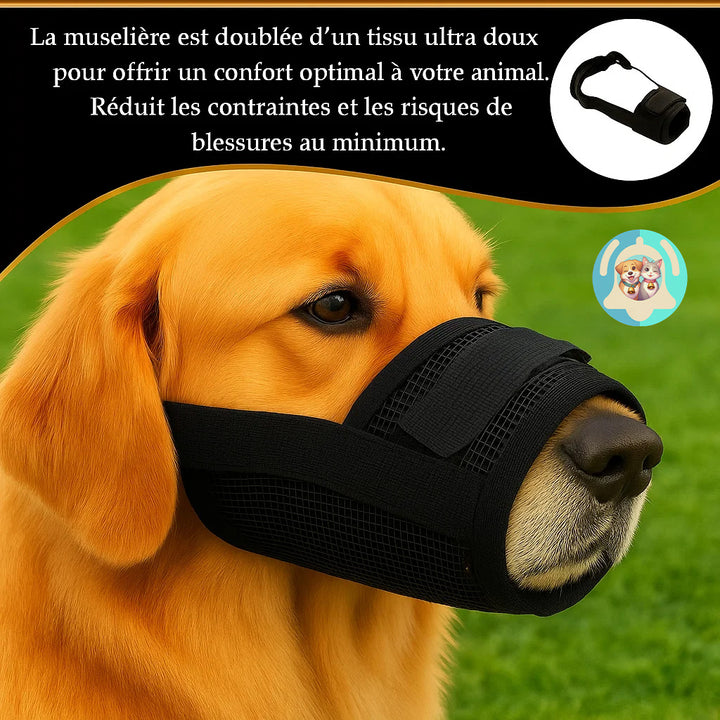chien portant une muselière douce Pavllove