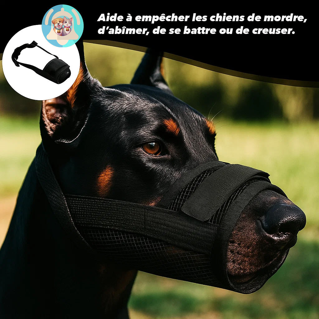 muselière ergonomique Pavllove pour petit chien