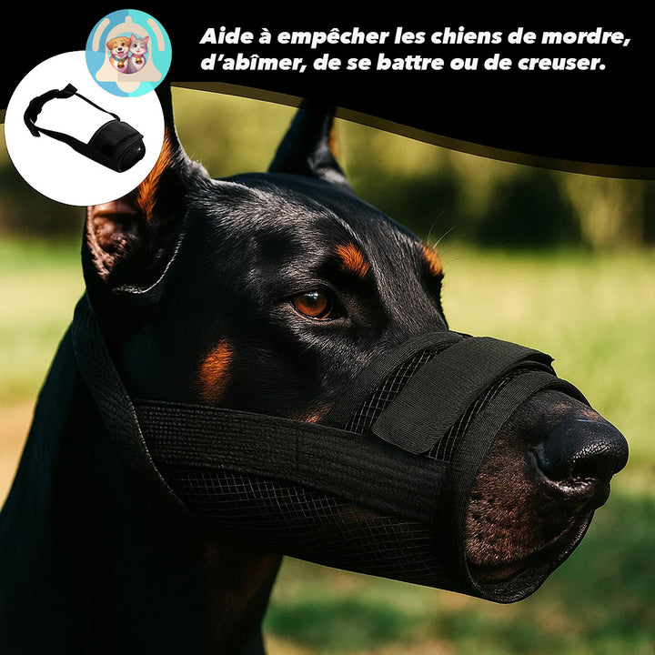 muselière ergonomique Pavllove pour petit chien