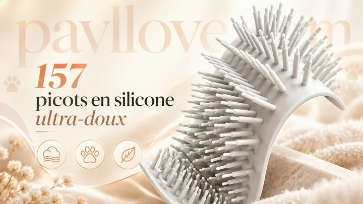 Appareil de nettoyage des pattes de chien avec silicone doux, moteur silencieux et système de sécurité
