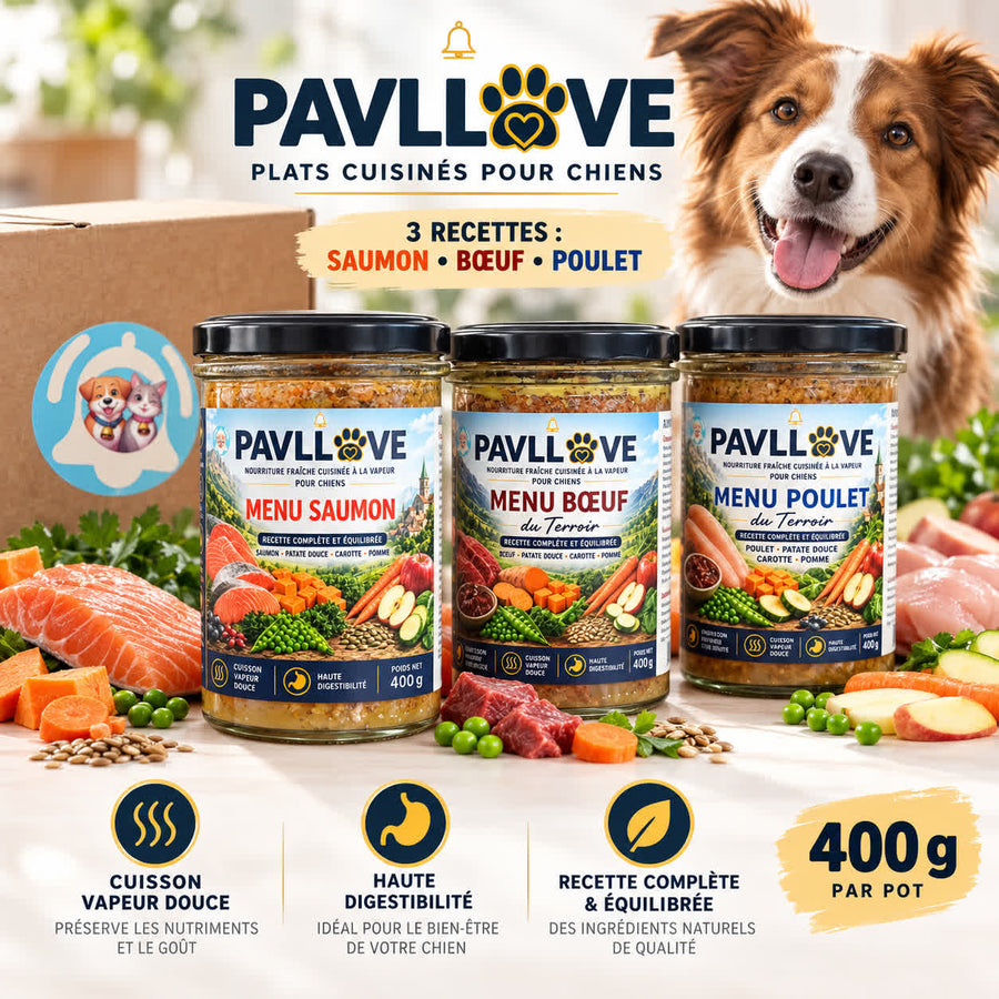 Plats cuisinés pour chiens PAVLLOVE en bocaux de verre de 400 g, trois recettes au bœuf, poulet et saumon avec patate douce, alimentation humide pour chien.
