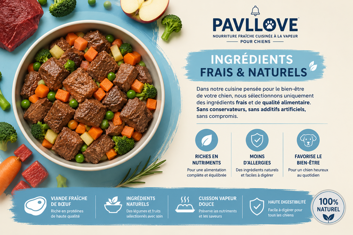Plat cuisiné PAVLLOVE® au bœuf pour chien, aliment complet premium, sans céréales, riche en viande fraîche.