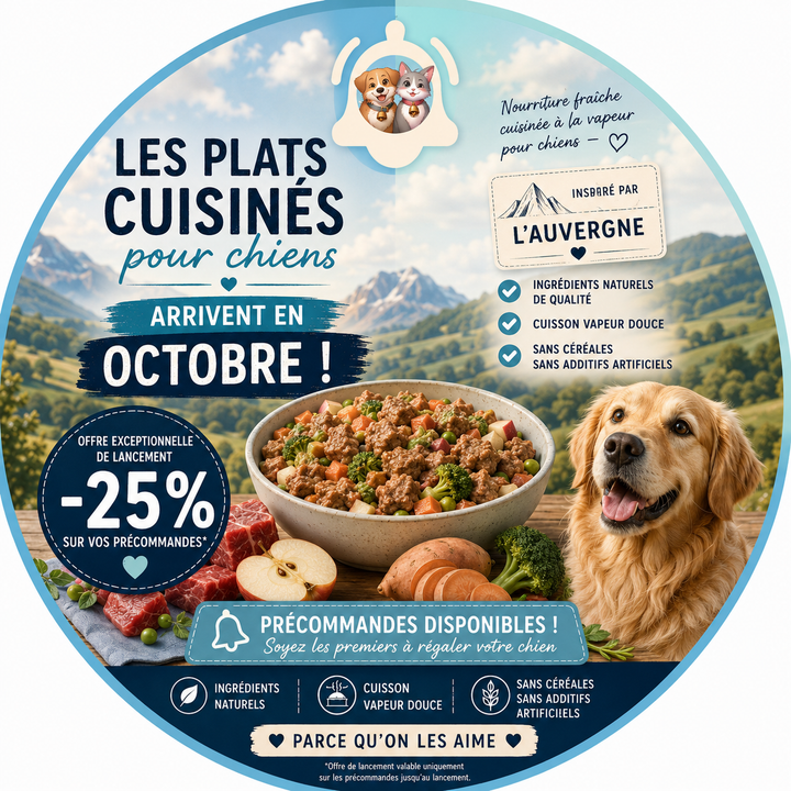 Plat cuisiné sans céréales pour chien au bœuf, repas complet naturel adapté à toutes les races.