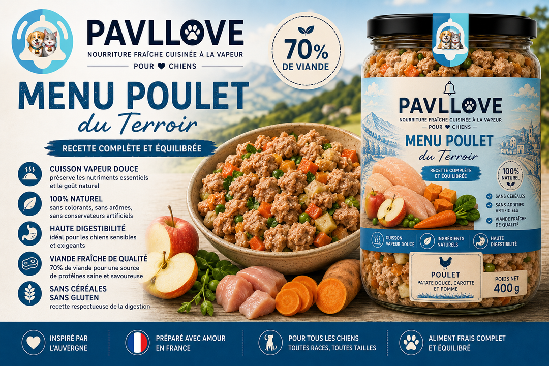 Plat cuisiné premium au poulet pour chien avec viande fraîche, recette complète, sans céréales et haute digestibilité.