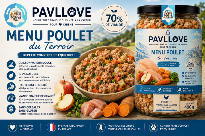 Plat cuisiné premium au poulet pour chien avec viande fraîche, recette complète, sans céréales et haute digestibilité.