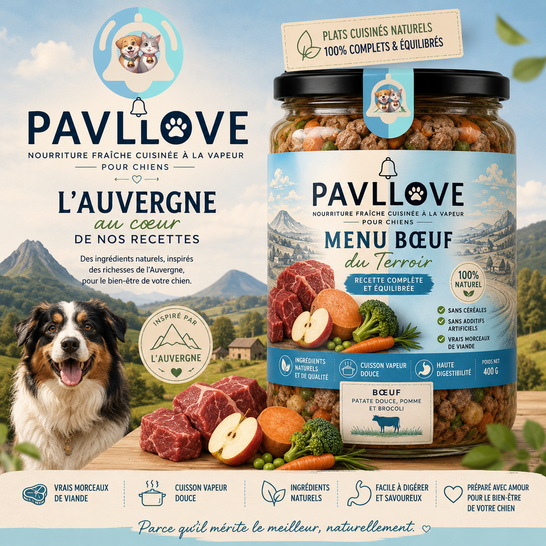 bocal-repas-premium-chien