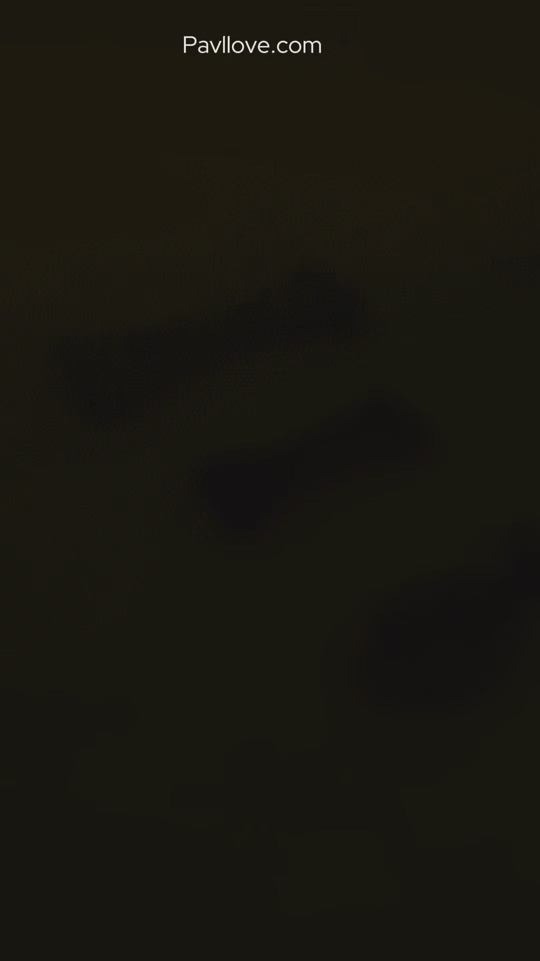 bois d'olivier pour chat et chien, batonnets, os a mastiquer,poisson en bois d'olivier, accessoires, jouet, pour chat et chien pavllove