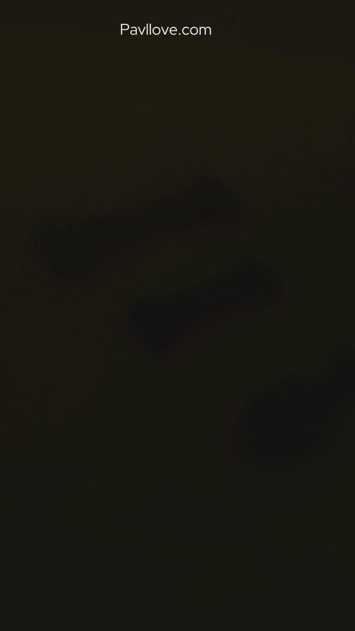 bois d'olivier pour chat et chien, batonnets, os a mastiquer,poisson en bois d'olivier, accessoires, jouet, pour chat et chien pavllove