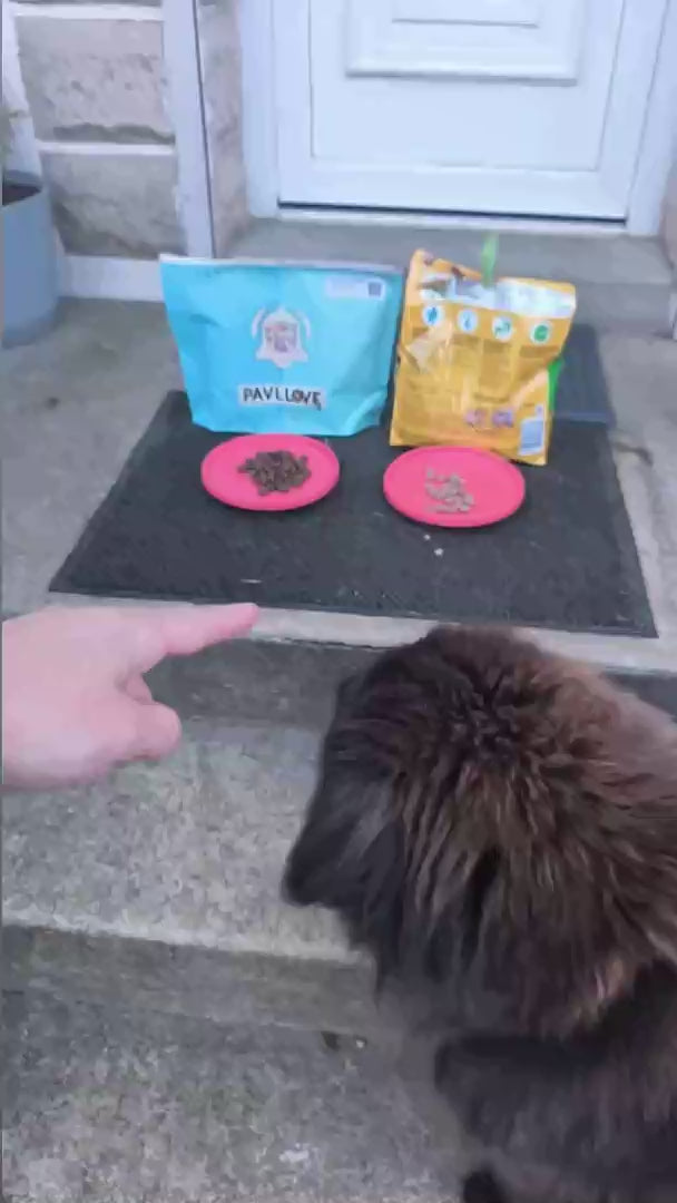 Croquettes haut de gamme pour chien sportif (gestation / lactation / compétition) -Volaille ⭐⭐⭐⭐⭐
