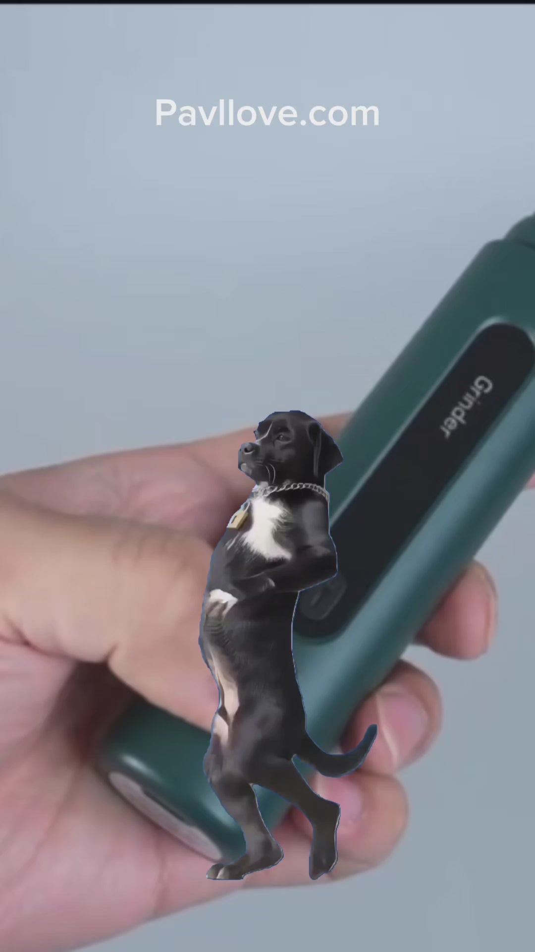 Lime a griffe pour chien et chat silencieux Pavllove 