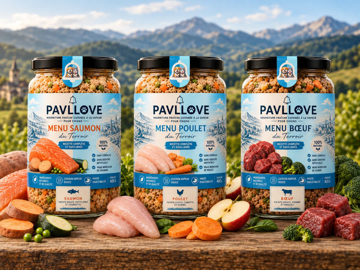Menu pour chien en bocal Pavllove avec recette au bœuf, poulet et saumon prête à servir