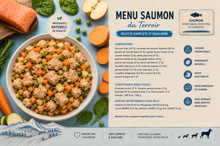Plat cuisiné pour chien au saumon PAVLLOVE® 400 g, aliment complet premium sans céréales avec vrais morceaux de saumon et légumes.