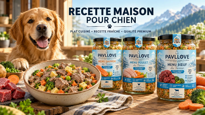 Offre découverte : 3 Bocaux - Recettes Maison pour Chien - Repas Frais naturels