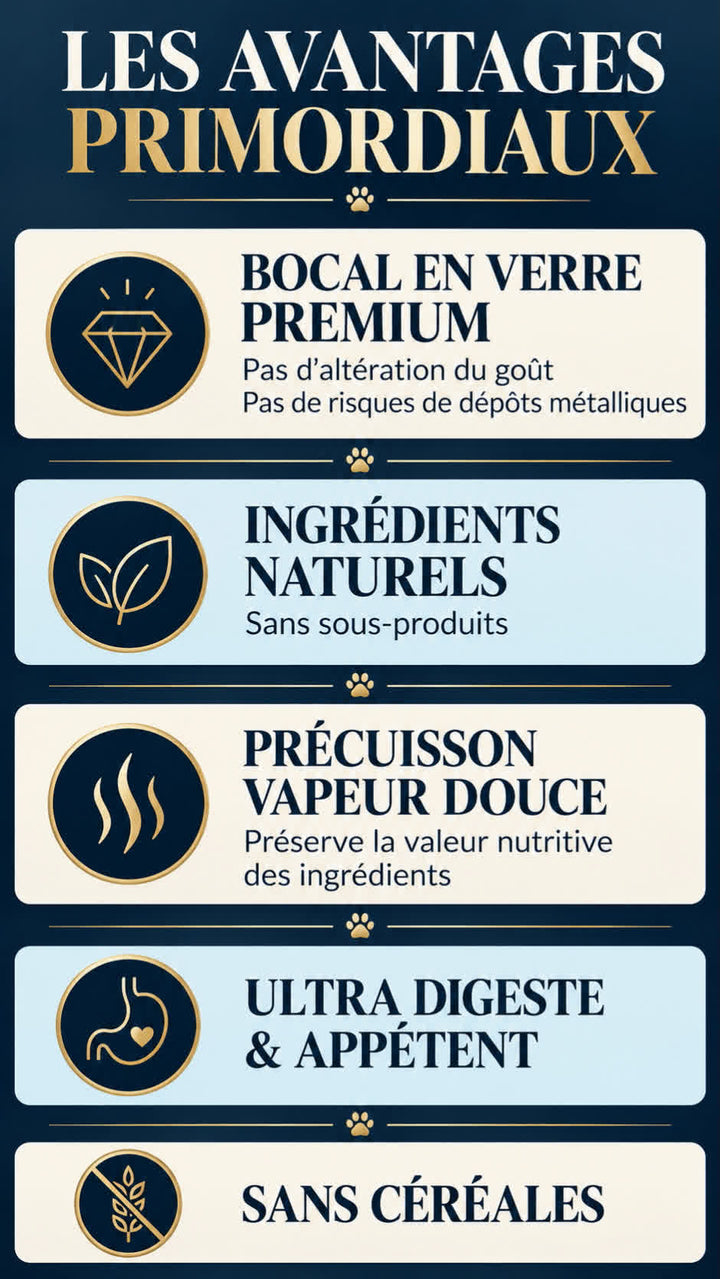 Recette au saumon pour chien Pavllove en bocal de 400 g avec repas complet servi dans une assiette