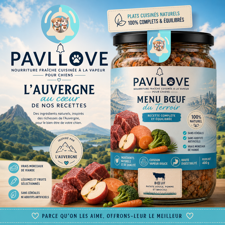 Repas premium pour chien au bœuf 400 g, cuisson vapeur douce, ingrédients naturels de qualité.