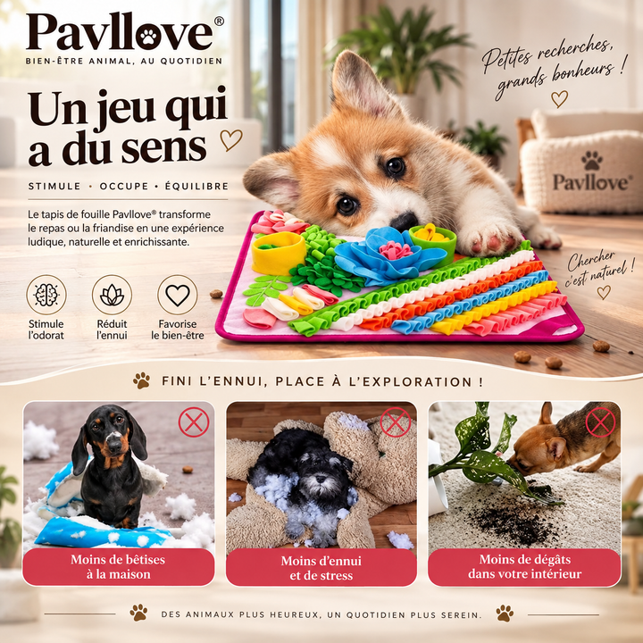 Tapis d’enrichissement pour chien et chat 39 × 39 cm Pavllove