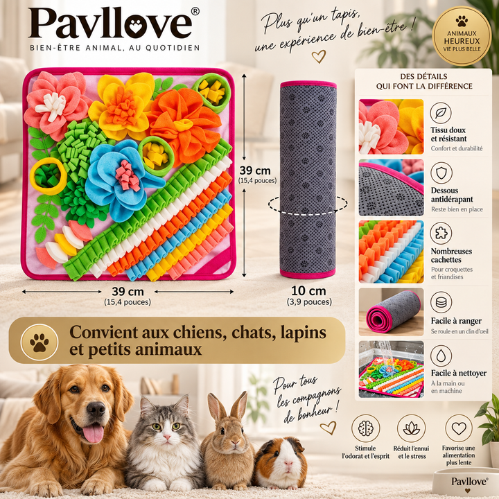 Tapis olfactif pour chien avec croquettes cachées dans plusieurs compartiments