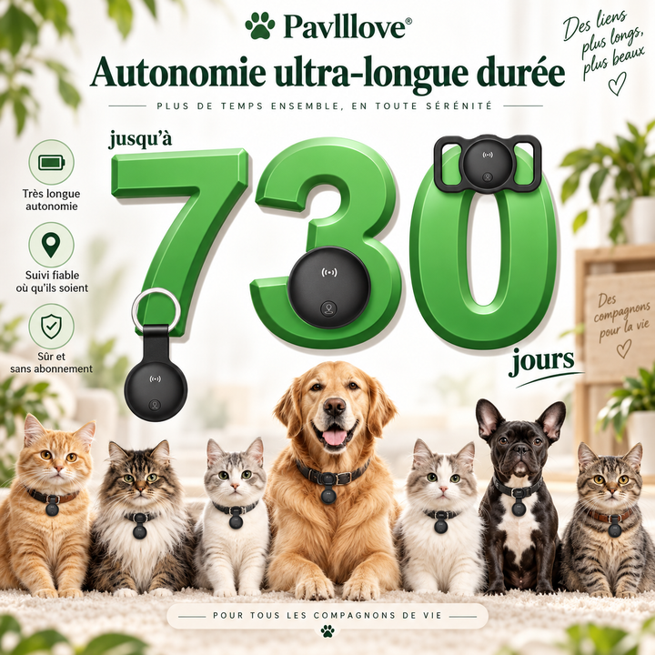 Traceur GPS chat sans abonnement avec application de suivi de localisation