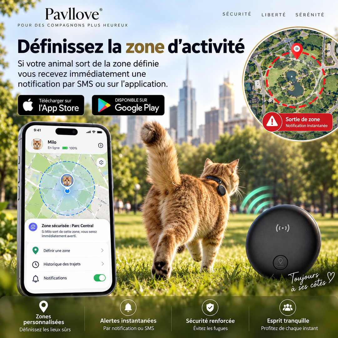 Balise de suivi Pavllove pour chien et chat avec historique de localisation